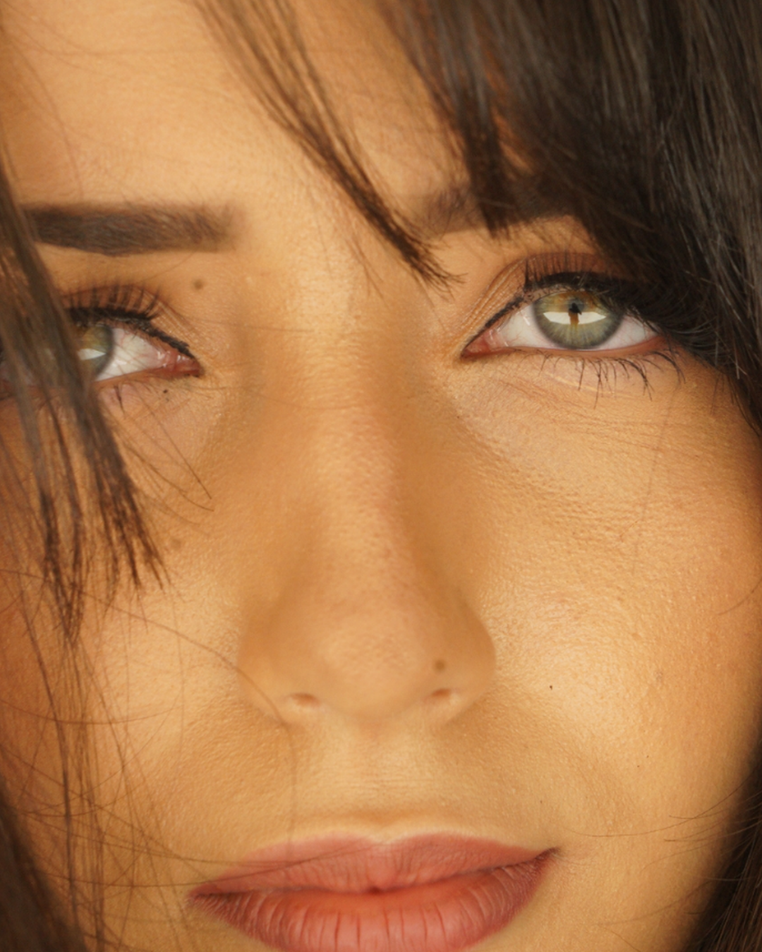 Face Iris