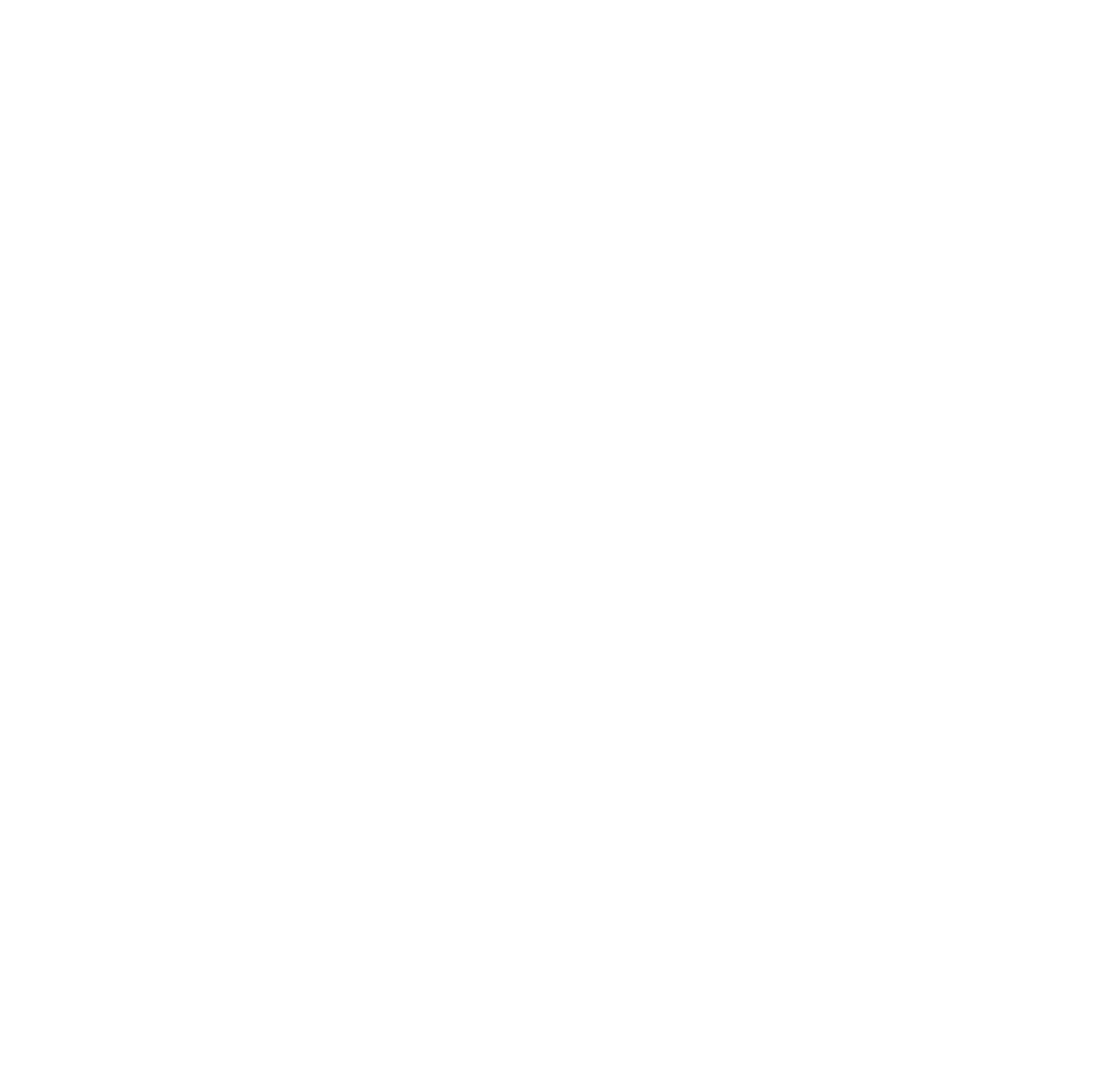 logo branca ronaldo camara
