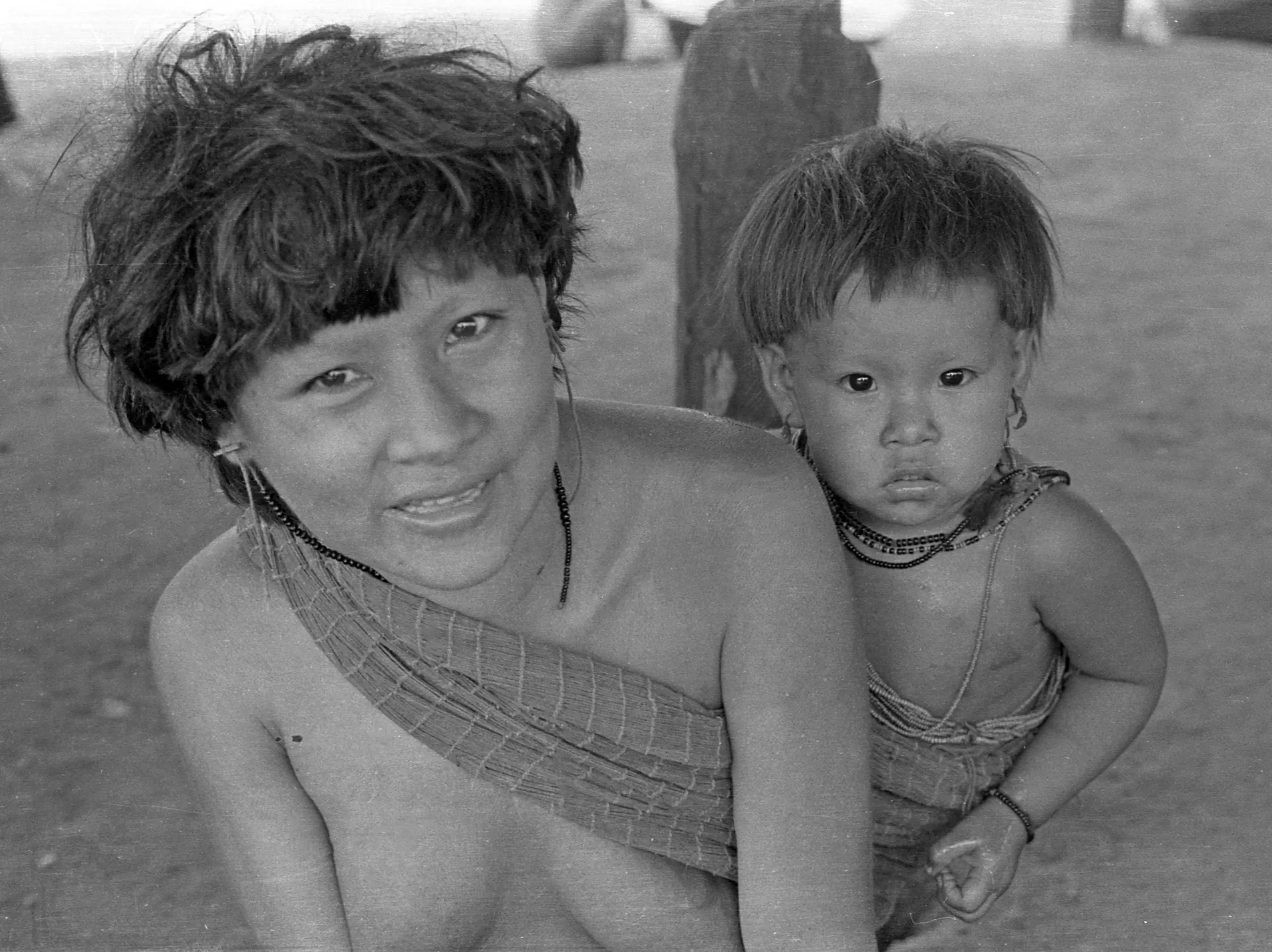 Indio Araras habitantes da Amazônia.